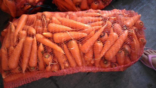 Продам морковь абако, Черкасская обл.