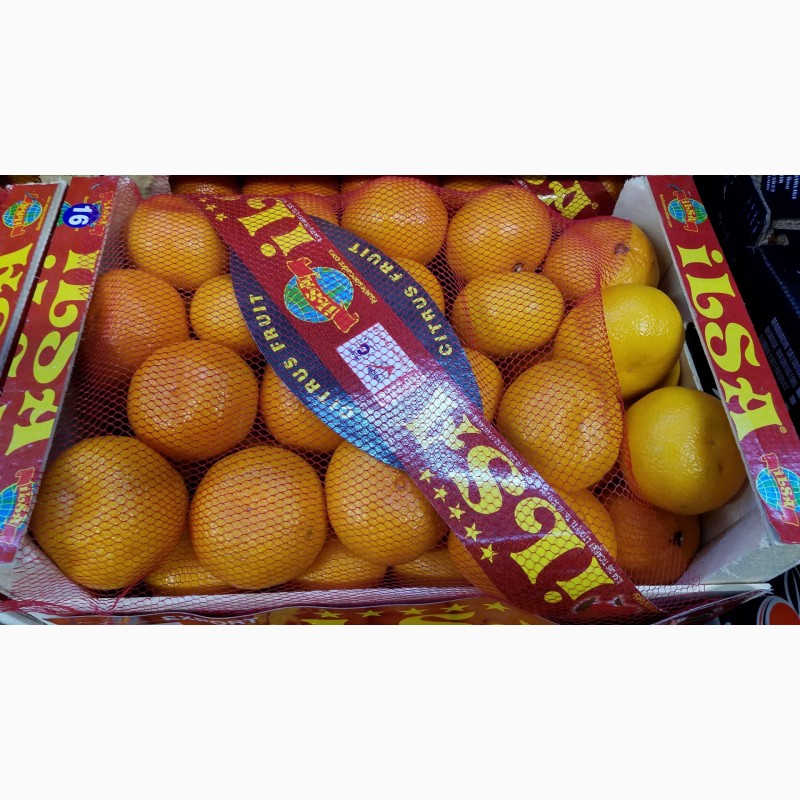 Продам мандарин сорт Сатсума(турция), Одесская обл.