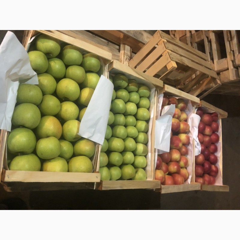 Продам високоякісні яблука з холодильника, Винницкая обл.
