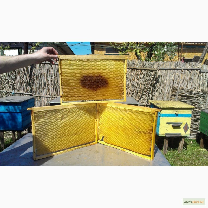 Где В Г Прокопьевск Купить Пчелиную Продукцию