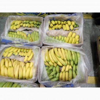 Продам плоды банана, Одесская обл.