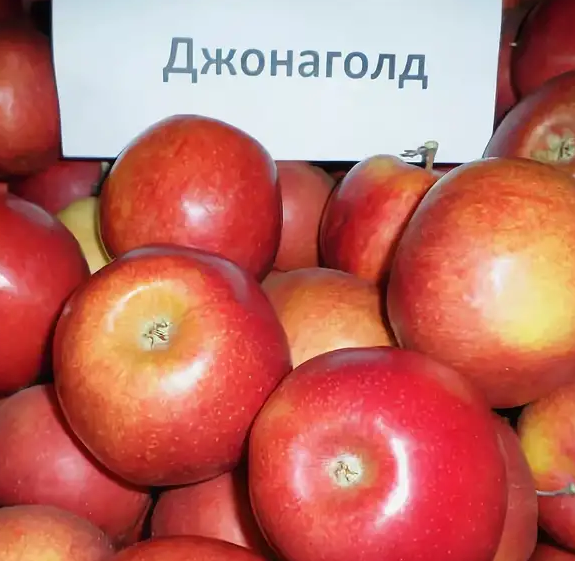Продам яблоки разных сортов оптом и в розницу, Черкасская обл.