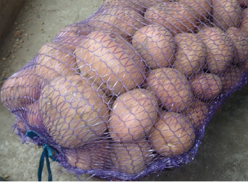 Продам картошку разных сортов 90 тонн, Одесская обл.
