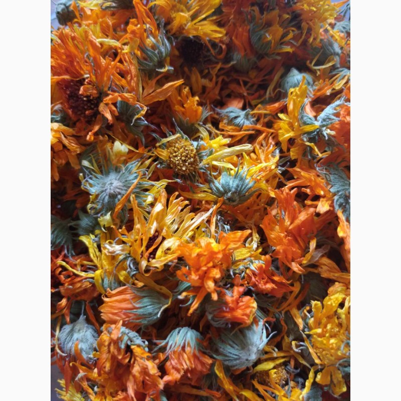 Фото 2. Продам цветы календулы, ромашку, липа, железняк, мускатный шалфей