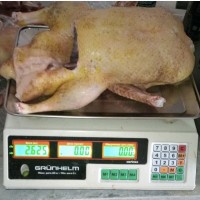 Продам мясо фермерской утки (тушки)
