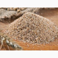 Закупаем отруби пшеничные гранулированные