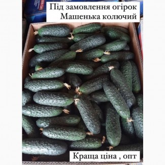 Огірок Машенька