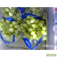 Продам виноград сорта Саграйон из Египта