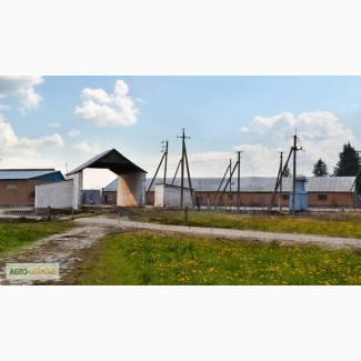 Комплекс агропромышленного предприятия в Житомирской области