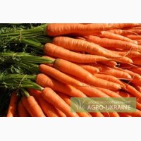 Морковь крупная и мелкая, стружка моркови сушеная