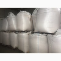 Продам семена сои, ЭЛИТА, НЕ ГМО 24000 грн/т