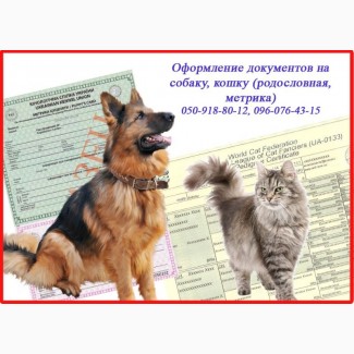 Оформлення документів на собаку, кішку (родовід, метрика), Харків