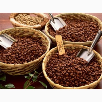 Кофе натуральный свежеобжаренный в зернах. Кофейные бленды или арабика 100 % Киев Опт