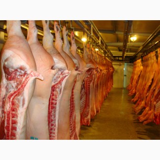 Продаём Мясо Свинина Баранина Гавядина Опт Розница