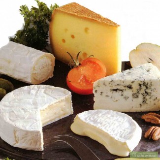 Сыр Пармезан (12-36 мес) Грано Подано, Бри, Моцарелла и др. из Италии под заказ