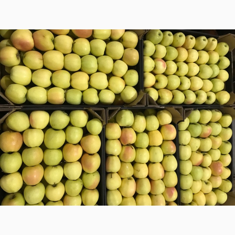 Фото 5. Продам якісне яблоко, з холодильника, оброблені смарт фрешом