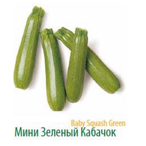 Фото 10. Продам салат Радичио высокого качества оптом с плантаций Турции