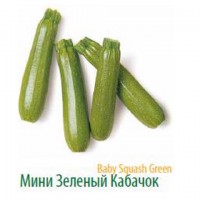 Продам салат Радичио высокого качества оптом с плантаций Турции