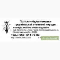 Бджоломатки укр. степової породи