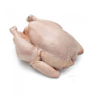 Broiler chicken carcass Halal for export. Chicken for export Halal