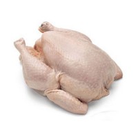 Broiler chicken carcass Halal for export. Chicken for export Halal