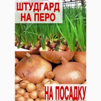 Штудгард на перо