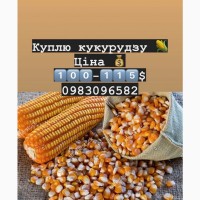 Куплю кукурудзу самовивоз