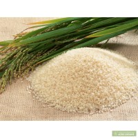 Продажа риса потом от производителя - ОАО Каланчакский КХП