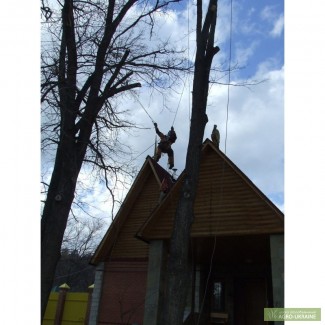 Удаление,Обрезка деревьев.Промышленный альпинизм Киев