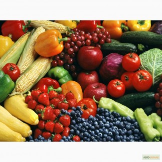 Растаможка фруктов и овощей для клиента