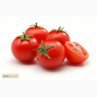 Предлагаю семена Томатов (помидор) по выгодной цене, оптом и в розницу
