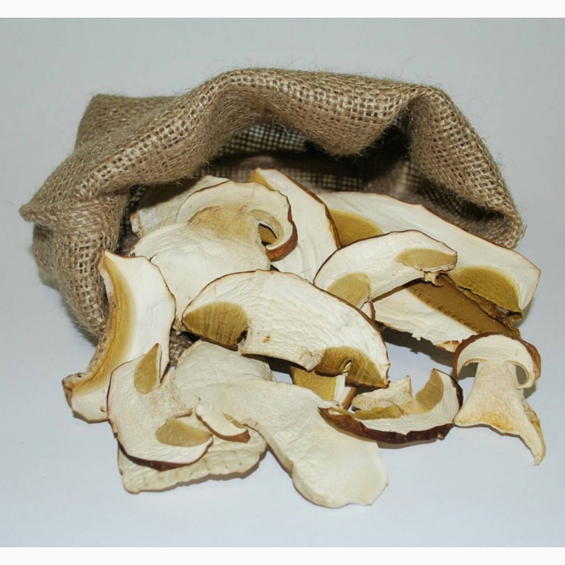 Фото 2. Продамо сушений білий гриб преміум якості