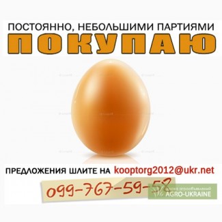 Куплю яйцо куриное оптом