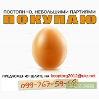 Куплю яйцо куриное оптом