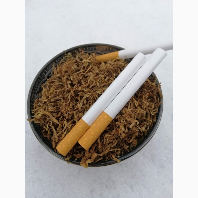 Фото 8. Берли Вірджинія Махорка тютюн вищого сорту