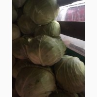 Продам капусту зимню для квашення або салатів