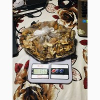 Продам сушені гриби