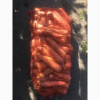 Продам моркву урожай 2020, дуже гарна і соковита