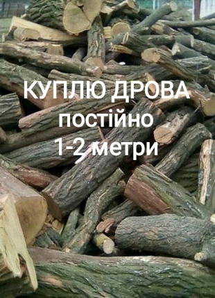 Фото 3. Куплю дрова