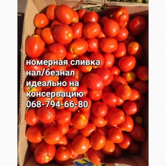 Продам номерную сливку