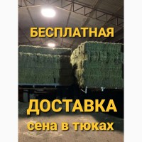 Продам ЛУГОВОЕ сено и ЛЮЦЕРНУ в тюках с доставкой по Украине