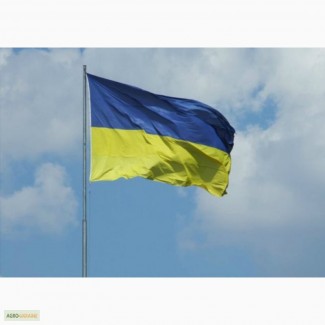 Прапор України, маленький, розмір: 90х60 см