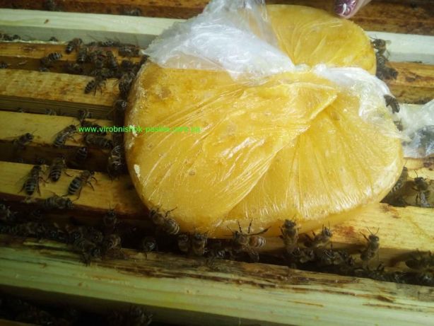 Фото 4. Паста канди для пчел.Канді для бджіл. Від виробника