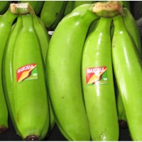 Продам свежие негазованные бананы