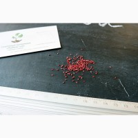 Клюква семена (20 шт) журавлина насіння + инструкция + подарок