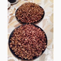 Миндаль земляной (чуфа) для еды, семена для посадки 100 грам - 100 грн