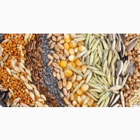 Перевозка зерновых и сельскохозяйственной техники