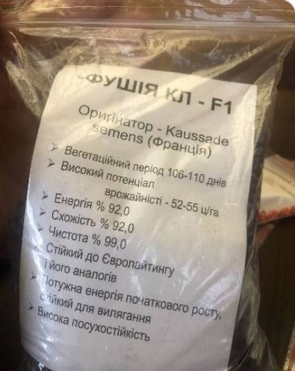 Продаю насіння сояшнику сорт Фушія КЛ-1F