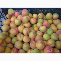 Абрикос персик малина виноград арбуз