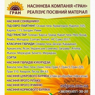 Пропонуємо насіння соняшнику гібрид Карат ( ПІД ГРАНСТАР / ПОСУХОСТІЙКИЙ )